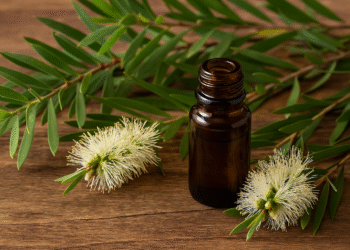 Niaouli Yağı Cinsellikte Nasıl Kullanılır?