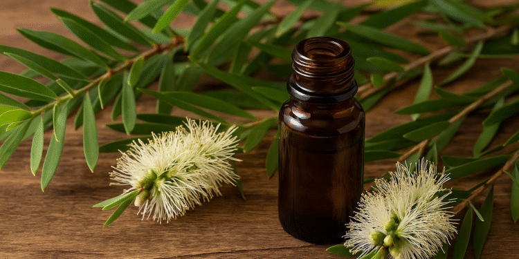 Niaouli Yağı Cinsellikte Nasıl Kullanılır?