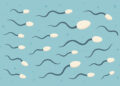 Sperm Sayısında Azalma