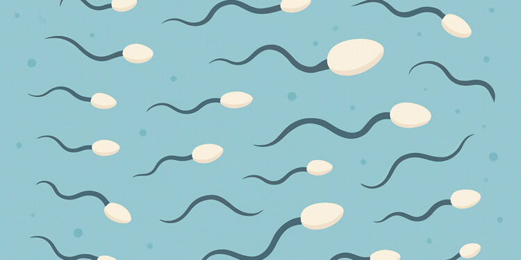 Sperm Sayısında Azalma