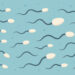 Sperm Sayısında Azalma